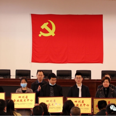 四川奇石緣科技公司獲評“四川省企業(yè)技術中心”